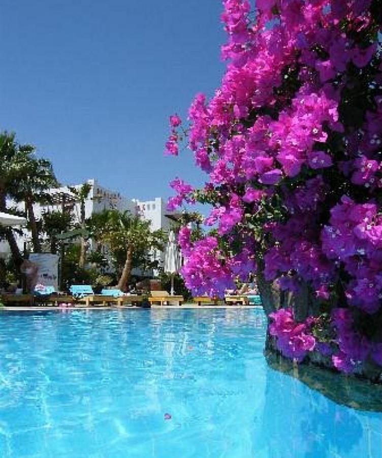 Delta Sharm Holiday Luaran gambar